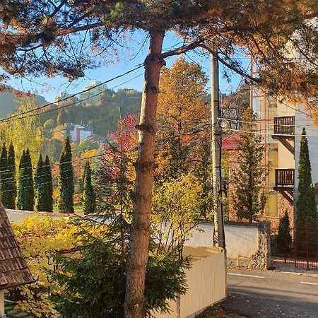 Central Luxury Apartment With City View Brașov Exterior foto
