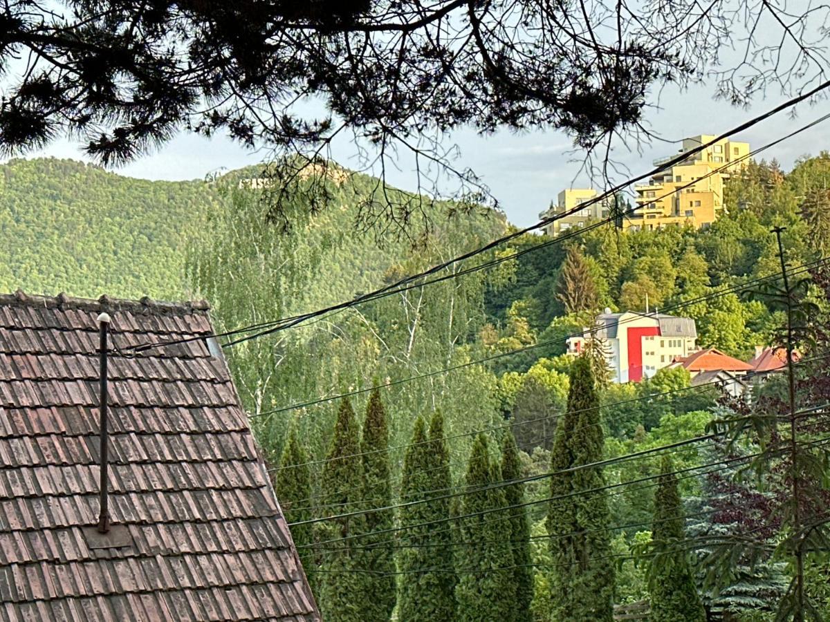 Central Luxury Apartment With City View Brașov Exterior foto